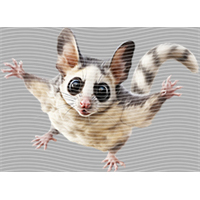 Animal Integration-DW 2238